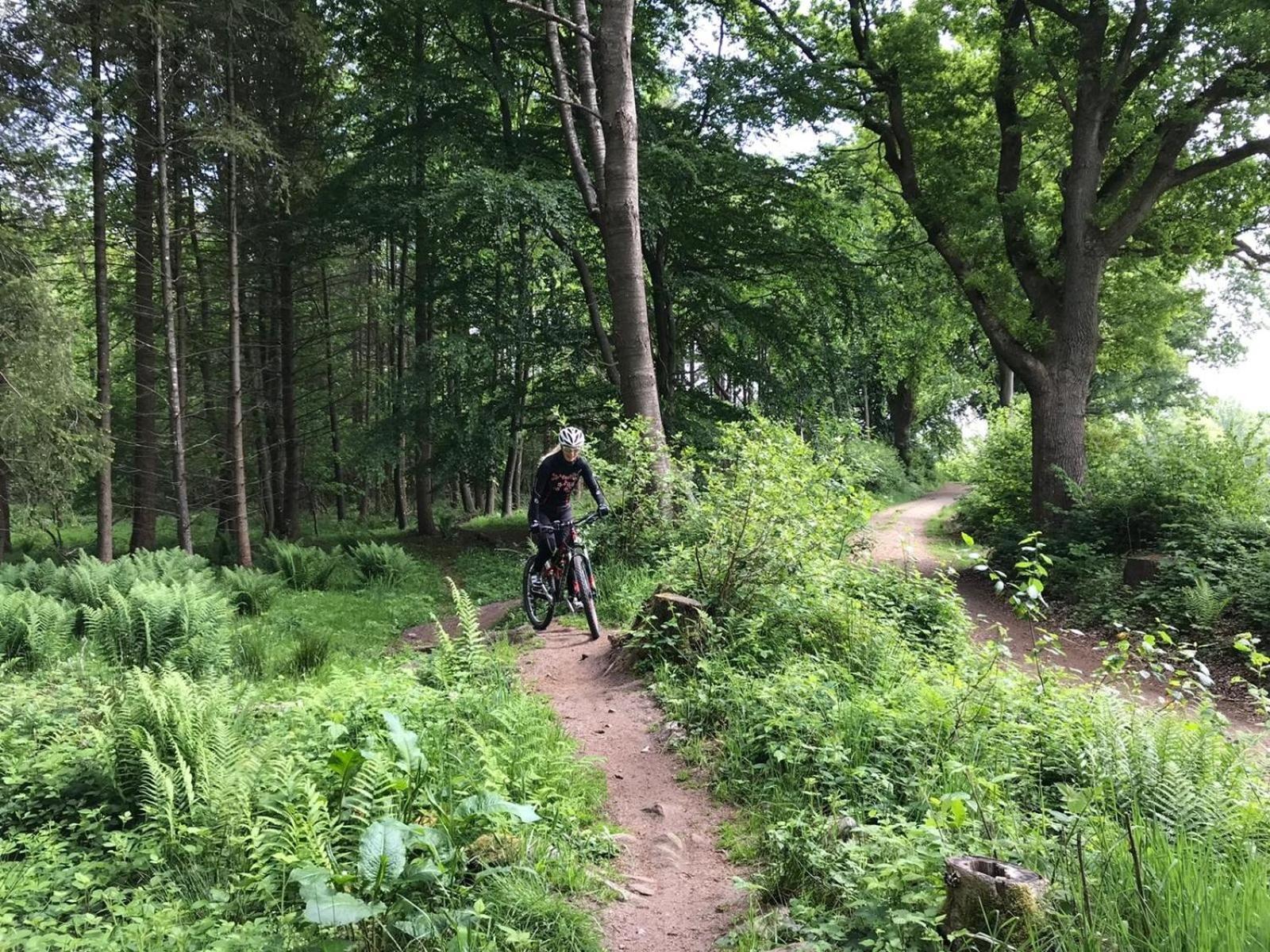 Seestern Bunsdorf Kültér fotó